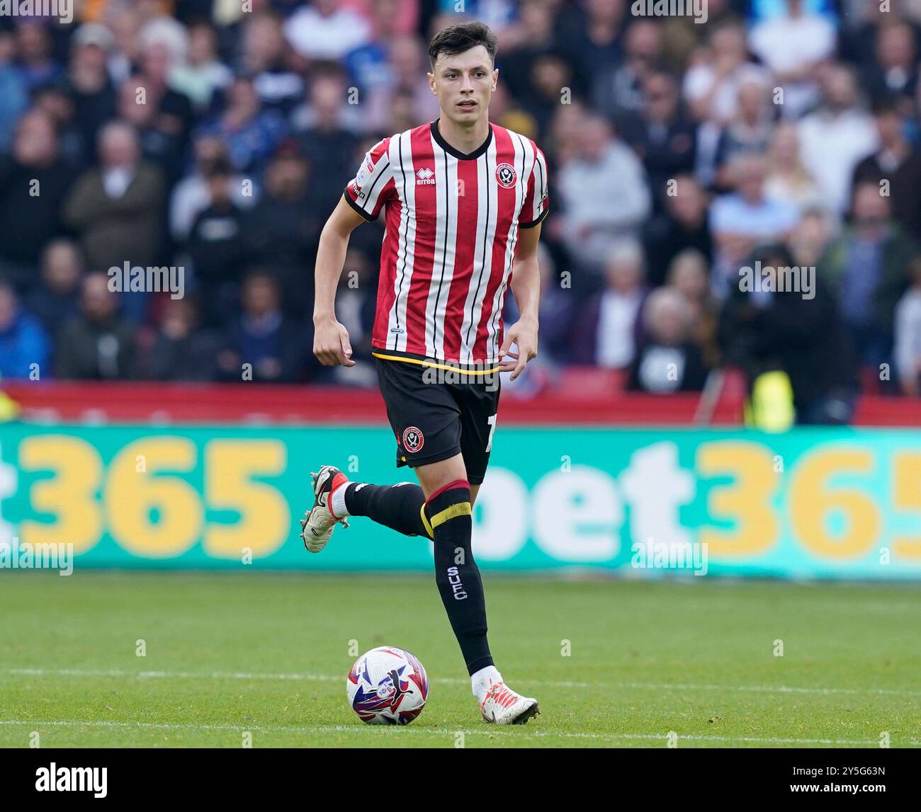 Sheffield, Royaume-Uni. 21 septembre 2024. Anel Ahmedhodzic de Sheffield United lors du Sky Bet Championship match à Bramall Lane, Sheffield. Le crédit photo devrait se lire : Andrew Yates/Sportimage crédit : Sportimage Ltd/Alamy Live News Banque D'Images