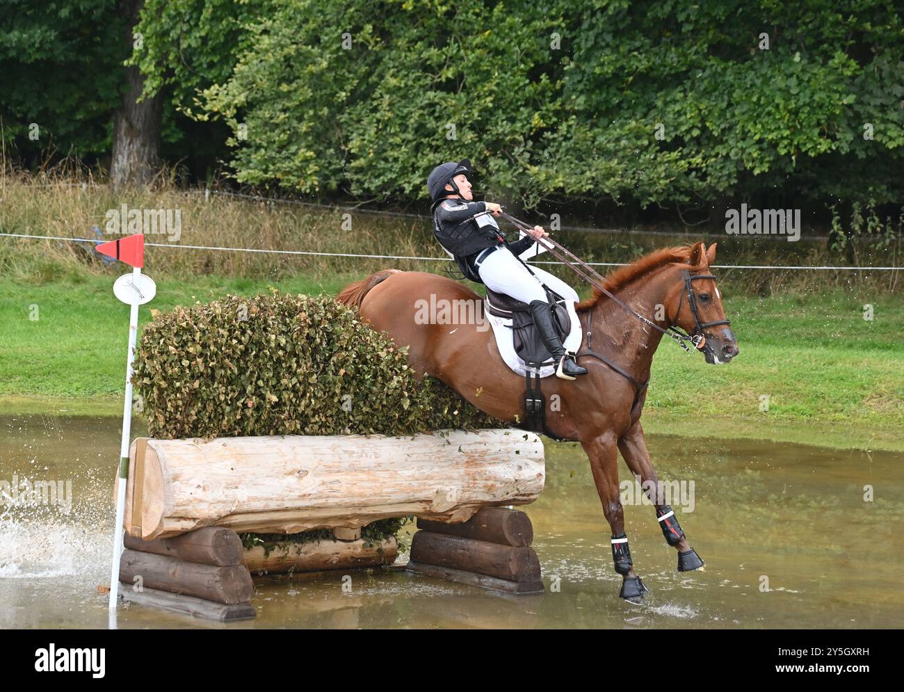Dana Cooke on Quatro, phase cross-country de la compétition CCI4* -l, Blenheim Palace International Horse Trials 2024, Blenheim Palace, Woodstock, Oxf Banque D'Images