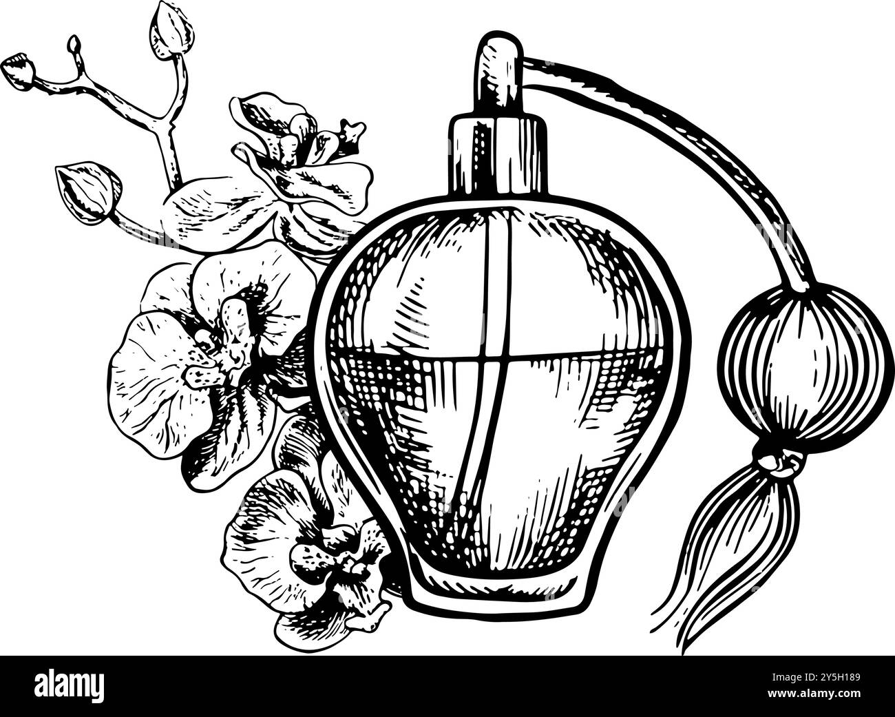 Bouteille de parfum vintage en verre transparent avec un vaporisateur. Graphiques vectoriels noir et blanc faits à la main. Parfum avec le parfum d'une orchidée. D Illustration de Vecteur