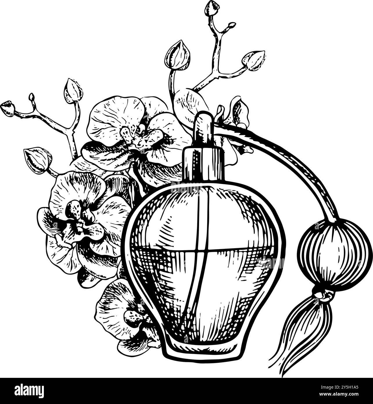 Bouteille de parfum vintage en verre transparent avec un vaporisateur. Graphiques vectoriels noir et blanc faits à la main. Parfum avec le parfum d'une orchidée. D Illustration de Vecteur