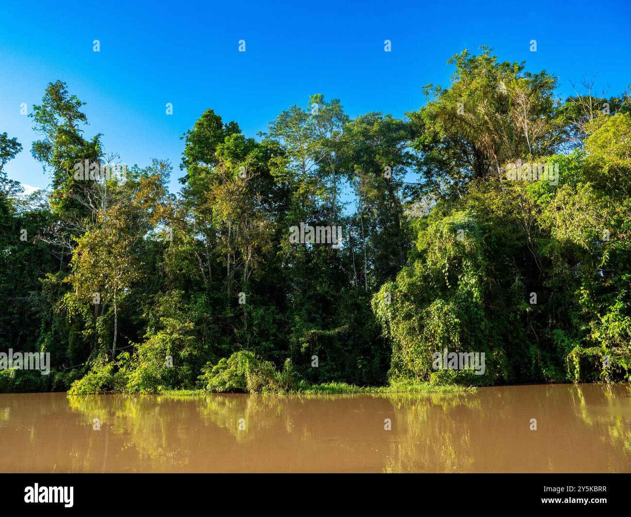 Paysage fluvial amazonien près de la ville de Jutaí au Brésil. Banque D'Images