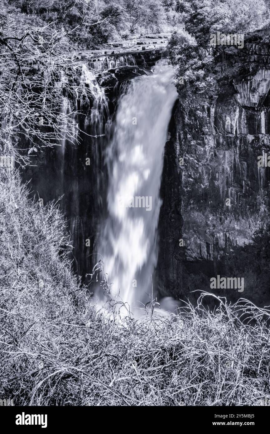 Une photographie captivante en noir et blanc représentant une puissante cascade descendant dans une gorge escarpée et rocheuse, entourée d'éléments naturels et salut Banque D'Images