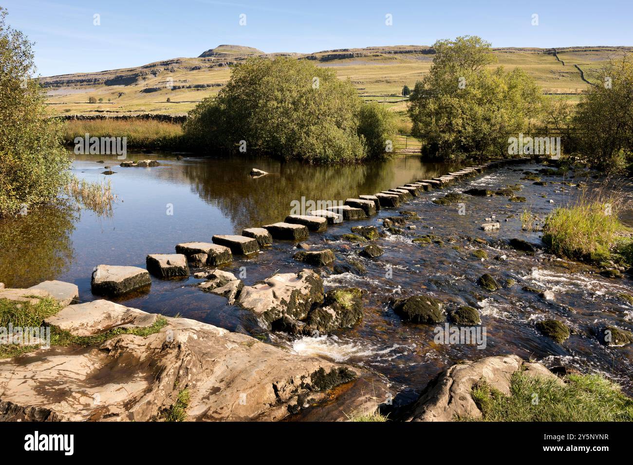 Franchir la rivière Doe à Beezley's Ford, Twisleton, Ingleton, Yorkshire Dales National Park. Ingleborough Peak est vu en arrière-plan. Banque D'Images