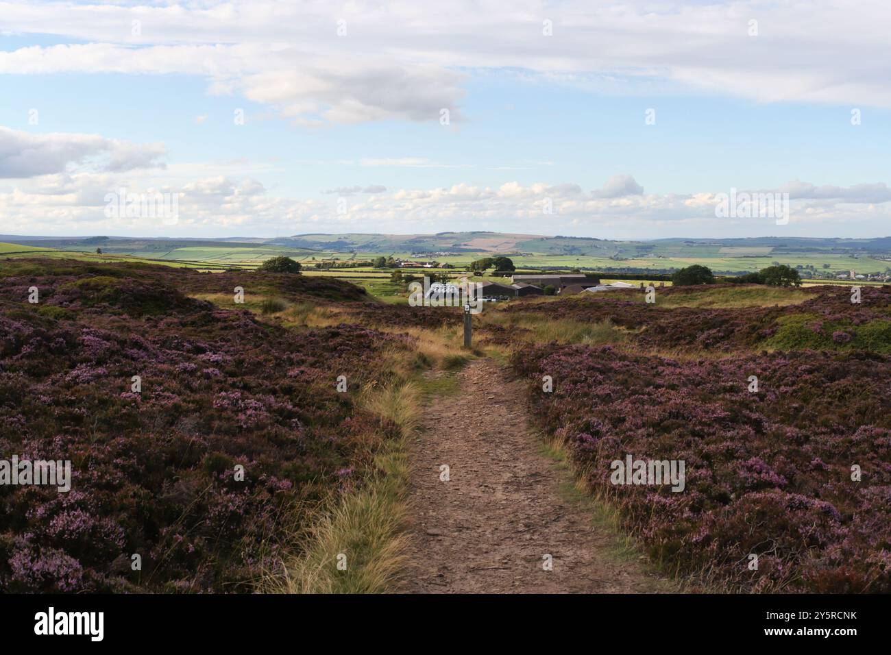 Sentier menant à Farm dans le parc national de Moorland Peak District, à la périphérie de Sheffield Angleterre UK English Moorland Landscape Banque D'Images