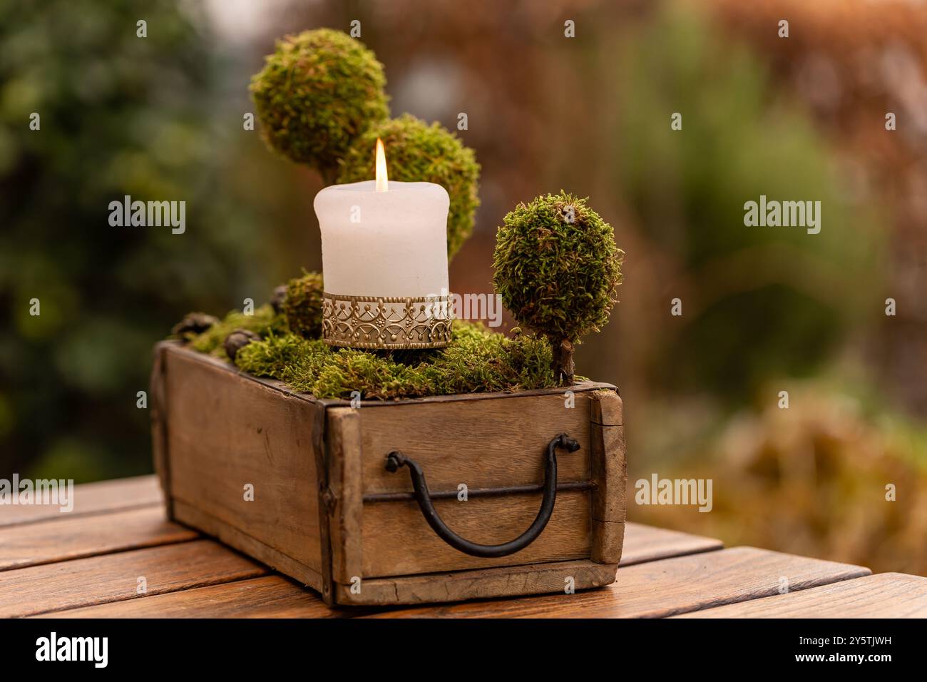 Une installation extérieure sereine met en valeur une bougie incandescente placée sur de la mousse à l'intérieur d'une boîte en bois rustique, complétée par des arbres topiaires verdoyants luxuriants, créant un calme Banque D'Images