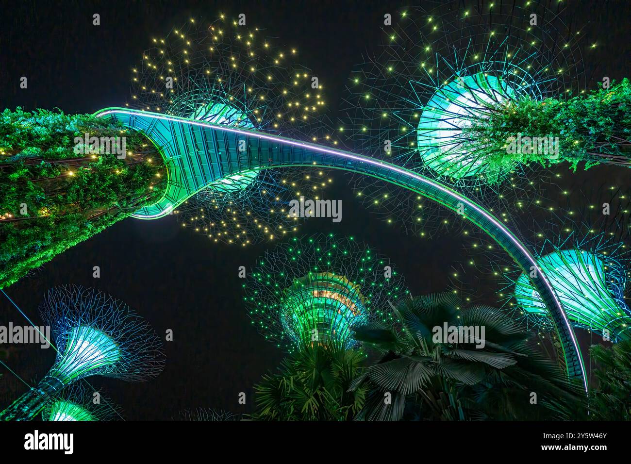 Singapour - 13 septembre 2023 : superarbres illuminés du parc naturel Gardens by Bay la nuit. Banque D'Images