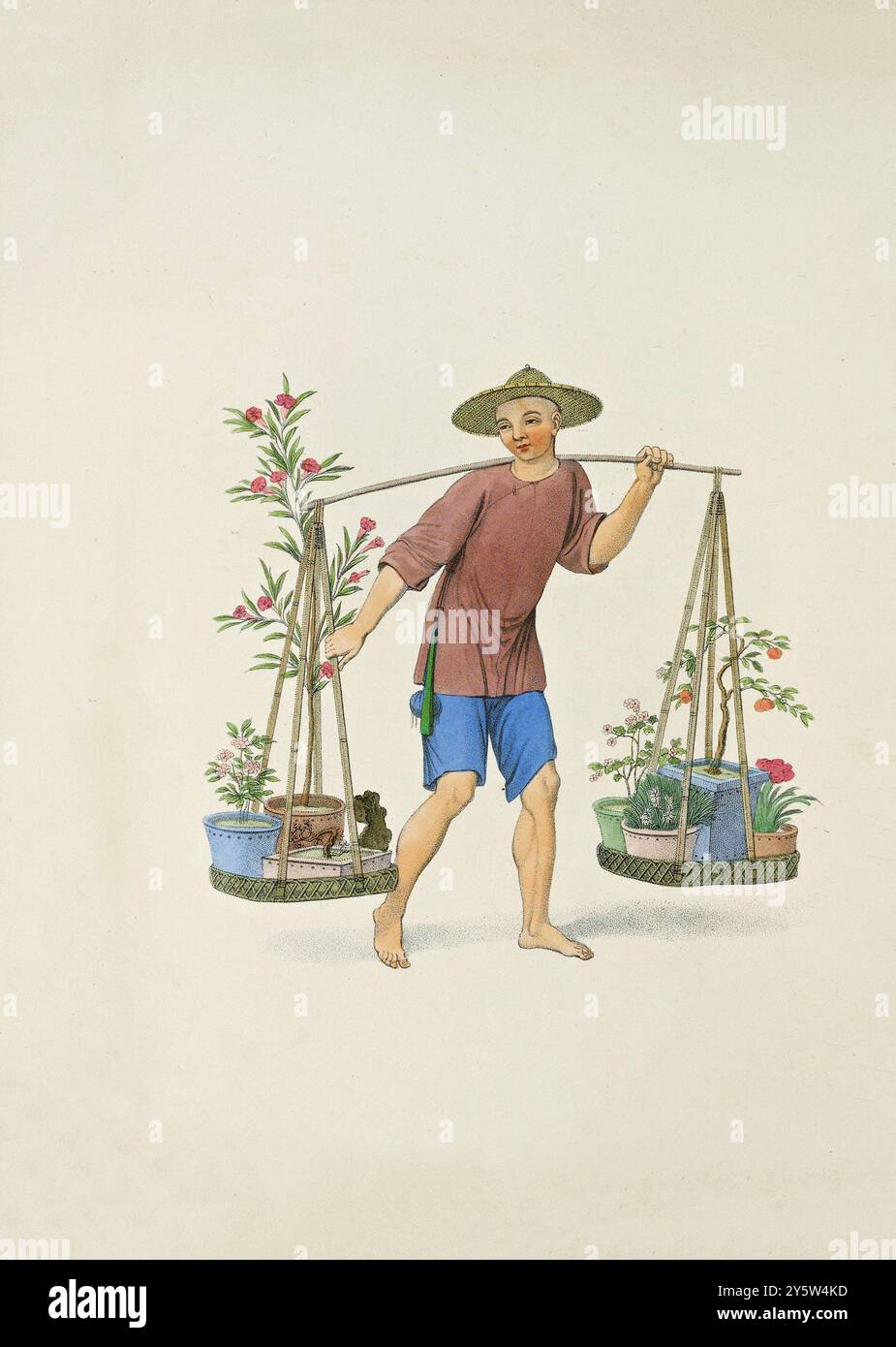Costume chinois traditionnel de la période Qing. Illustration vintage d'un porter chinois avec des arbres fruitiers et des fleurs. 1800 les Chinois sont friands de fleurs, et d'arbres fruitiers nains, qui poussent dans des pots de porcelaine, et sont placés soit sur des stands, soit sur la balustrade de leurs cours : où l'on peut voir non seulement des oranges, des pêches, et d'autres arbres fruitiers, mais aussi des sapins et des chênes, teintés dans leur croissance à deux pieds, par une ingénieuse, quoique certainement contre naturelle contrivance, et présentant toutes les apparences de maturité ou de pourration. Banque D'Images