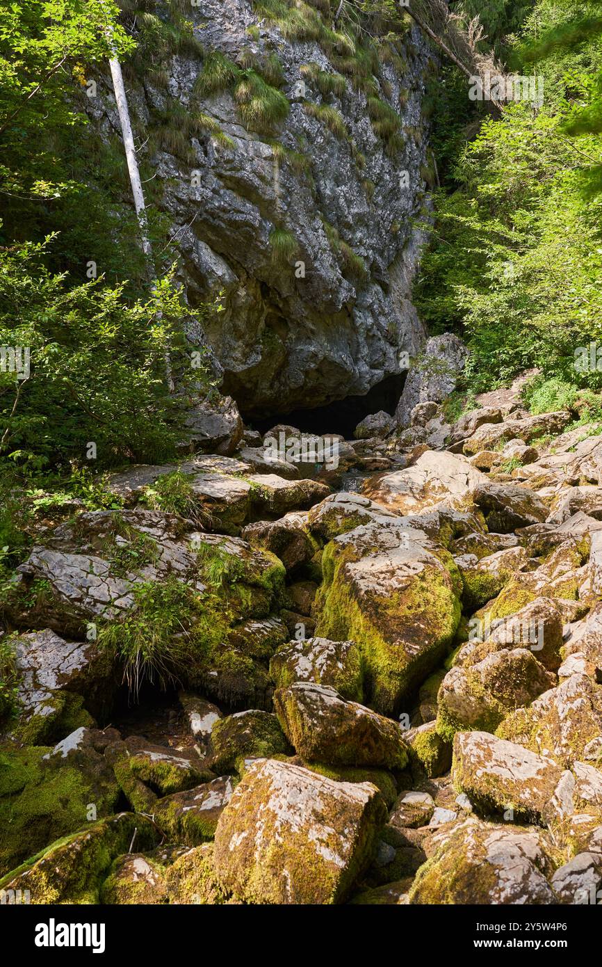 Lit de rivière séché dans les montagnes avec d'énormes rochers couverts de mousse Banque D'Images