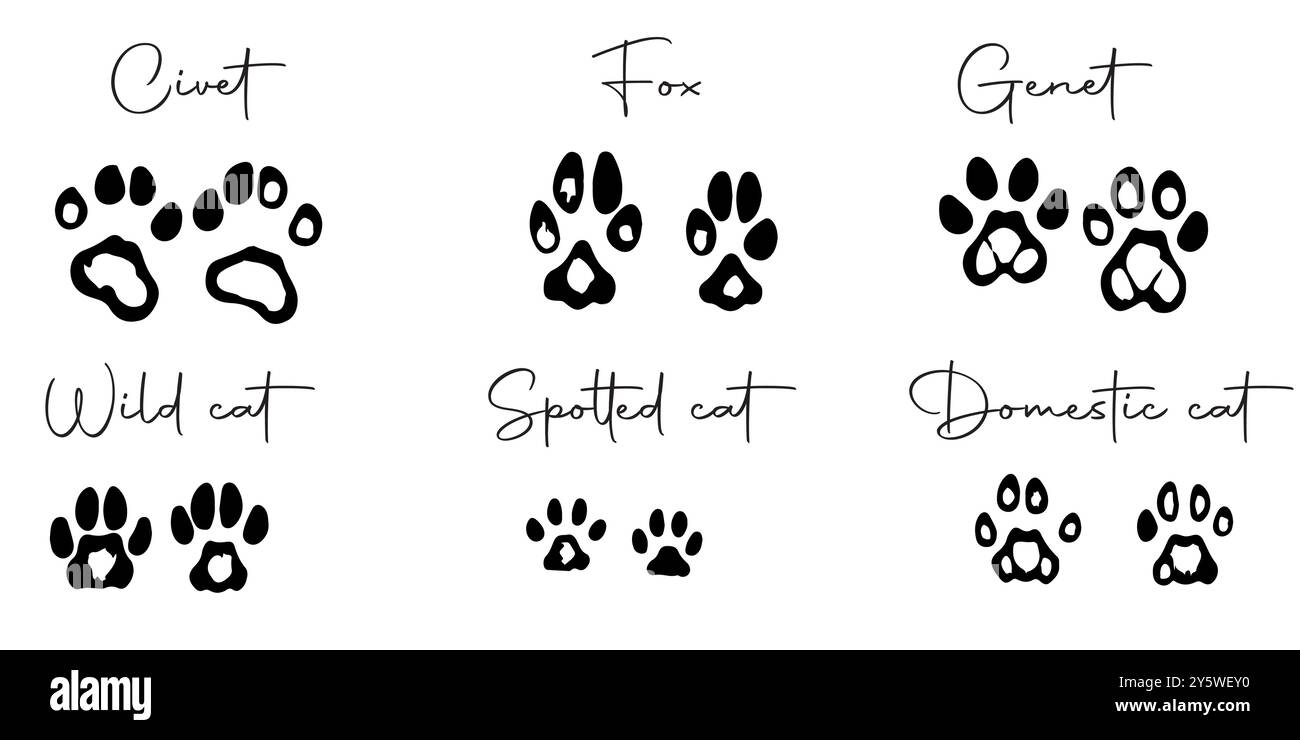 Empreintes de pieds d'animaux sauvages dessinées à la main Illustration de Vecteur