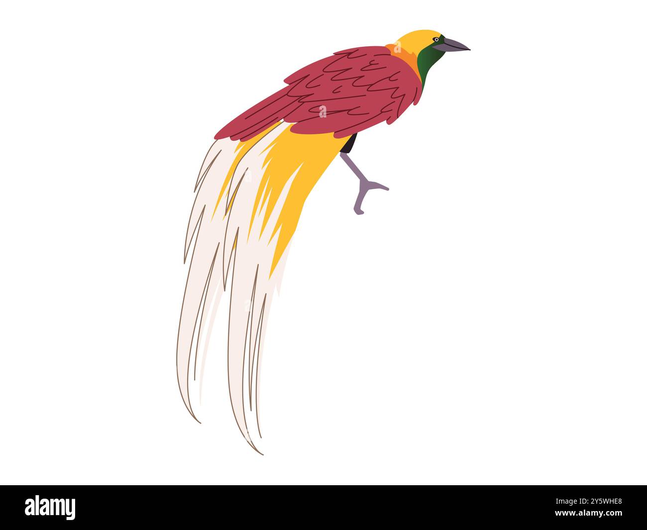 Oiseau du paradis Cendrawasih Paradisaeidae oiseau en voie de disparition faune sauvage rare illustration unique de conception de l'Indonésie orientale Illustration de Vecteur Oiseau du paradis Cendrawasih Paradisaeidae oiseau en voie de disparition faune sauvage rare illustration unique de conception de l'Indonésie orientale Illustration de Vecteur