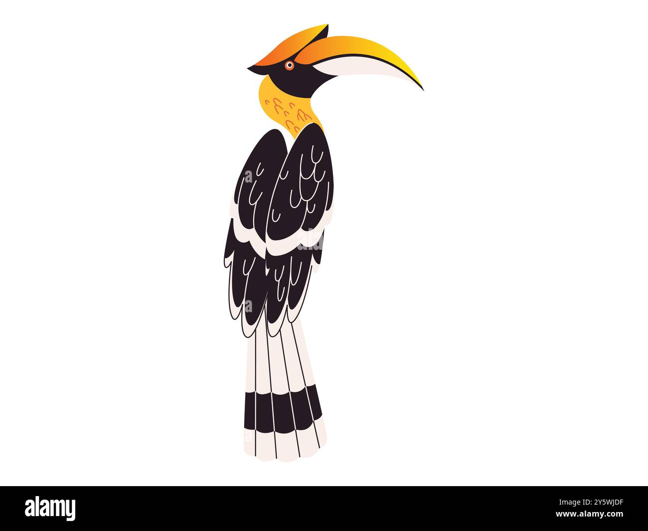 Hornbill faune exotique animal en voie de disparition habitat de forêt tropicale tropicale place unique oiseau Bucerotidae Species design Illustration de Vecteur Hornbill faune exotique animal en voie de disparition habitat de forêt tropicale tropicale place unique oiseau Bucerotidae Species design Illustration de Vecteur