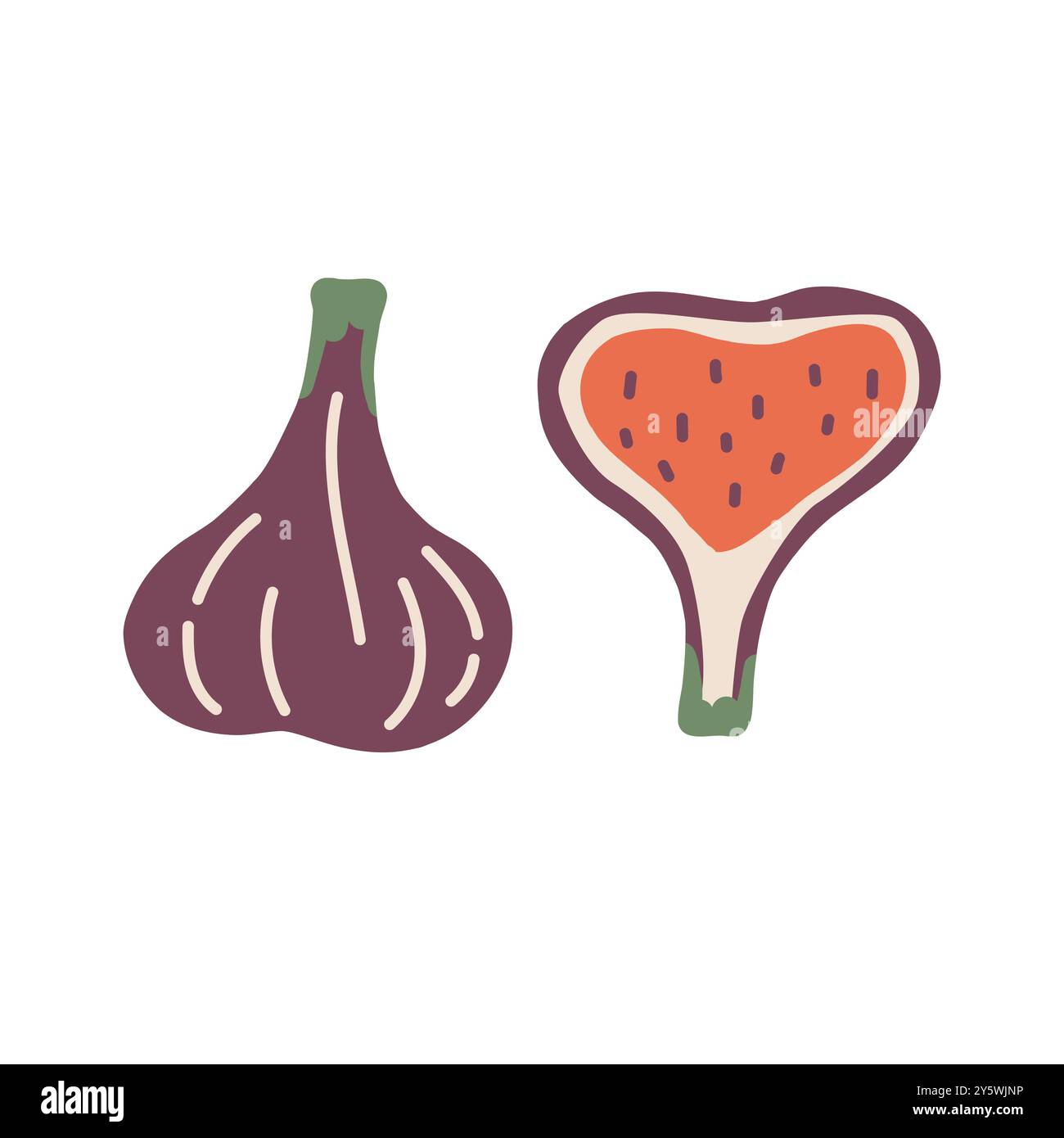 Figues entières et tranchées, jolis objets saisonniers dessinés à la main. Illustration vectorielle dans un style plat Illustration de Vecteur