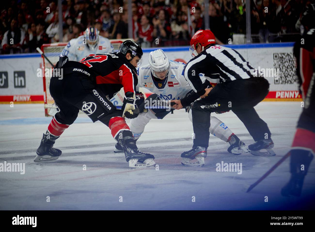 COLOGNE, ALLEMAGNE - 22 SEPTEMBRE 2024 : Alexandre Grenier, le match de DEL Koelner haie vs Adler Mannheim à Lanxess Arena Banque D'Images