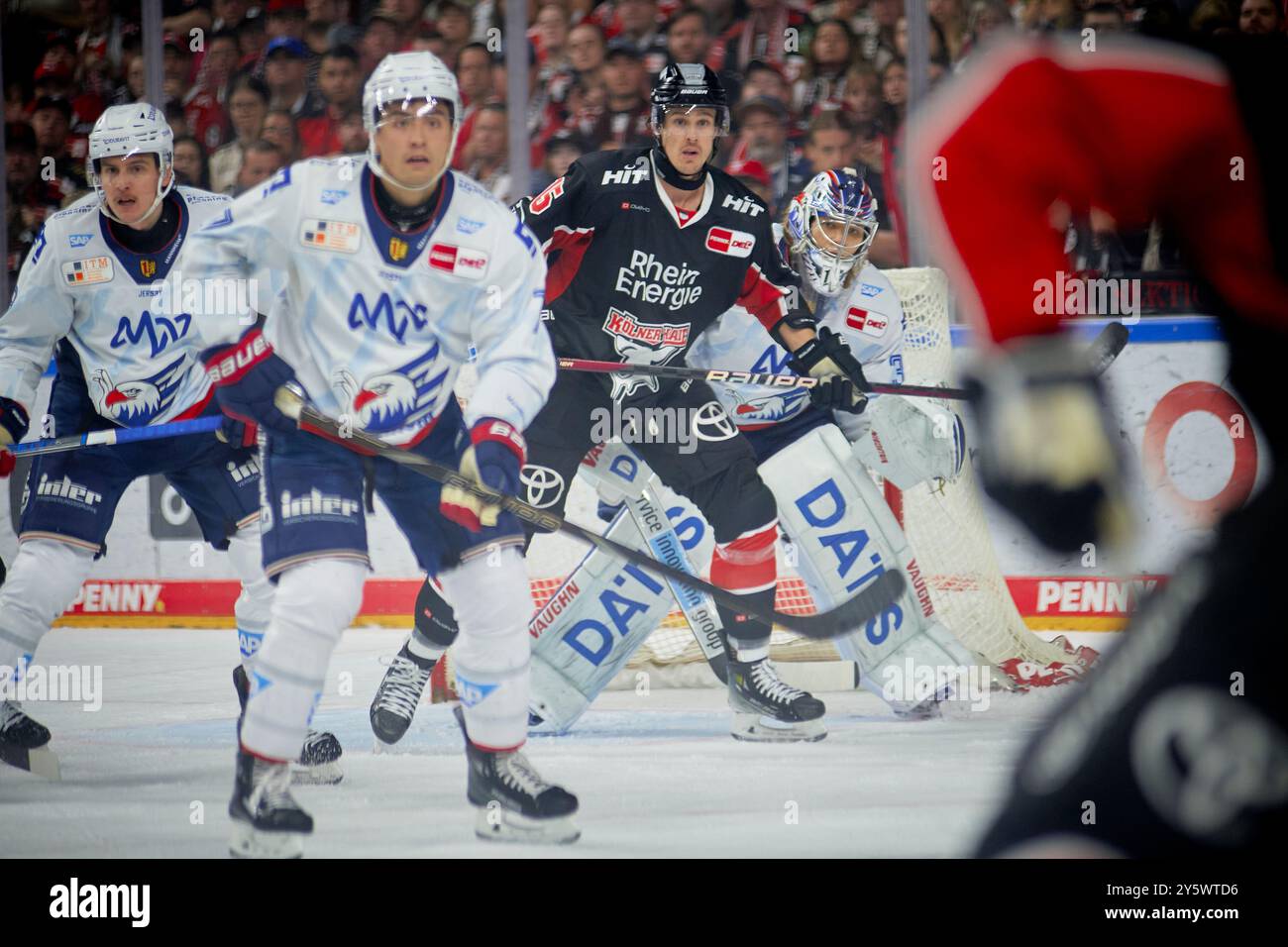 COLOGNE, ALLEMAGNE - 22 SEPTEMBRE 2024 : Louis-Marc Aubry, le match de DEL Koelner haie vs Adler Mannheim à Lanxess Arena Banque D'Images