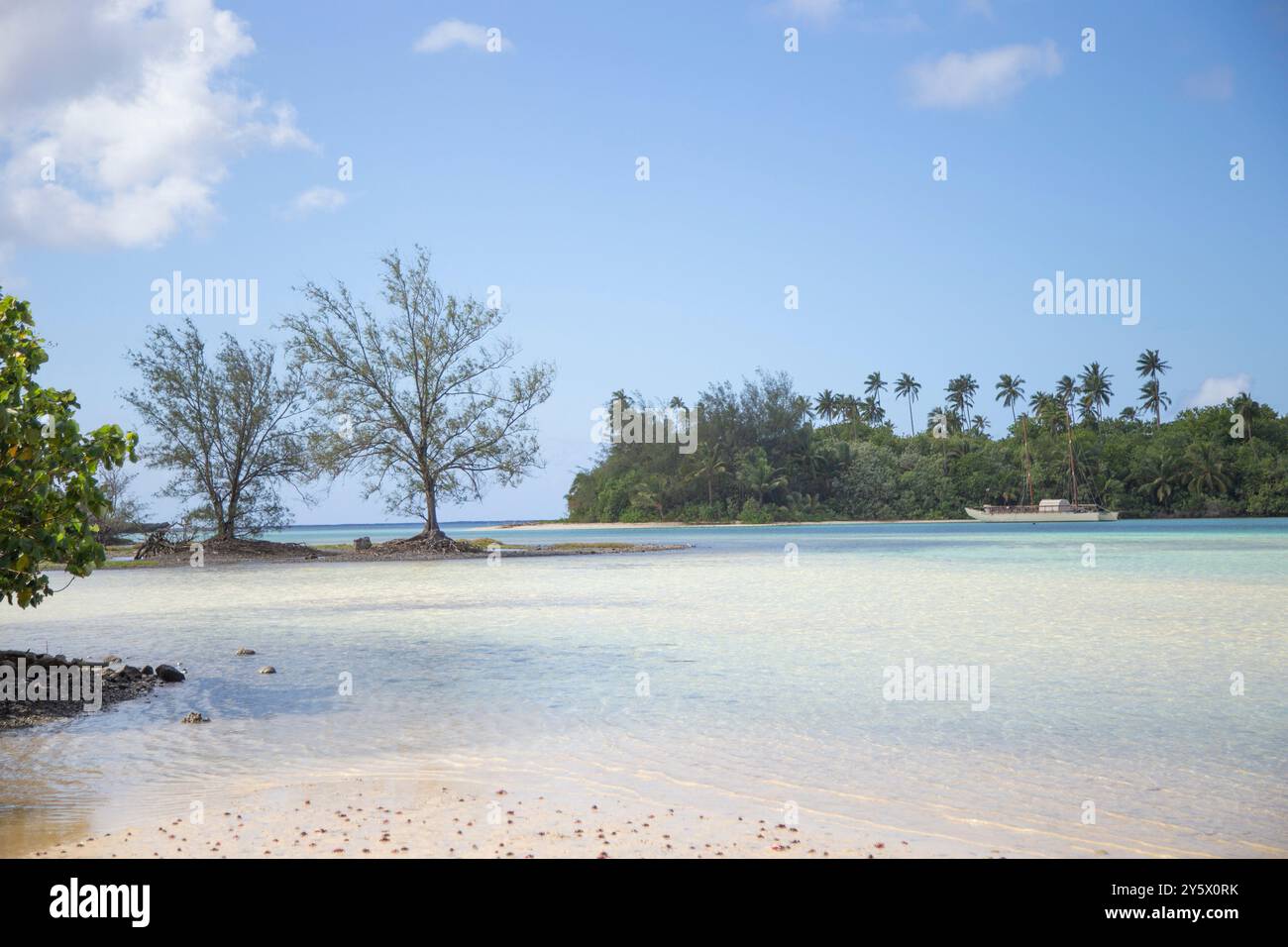 Plage tropicale tranquille avec un ciel bleu clair, des eaux turquoises calmes et une végétation luxuriante, Muri, Rarotonga, îles Cook Banque D'Images