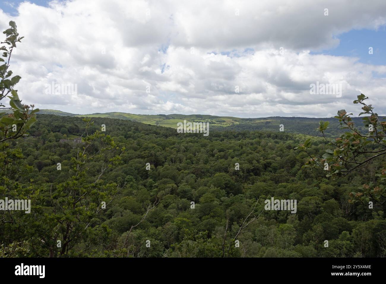 Vue depuis Whitbarrow vers Stavely-in-Cartmel et Hampsfell Westmorland et Furness England Banque D'Images