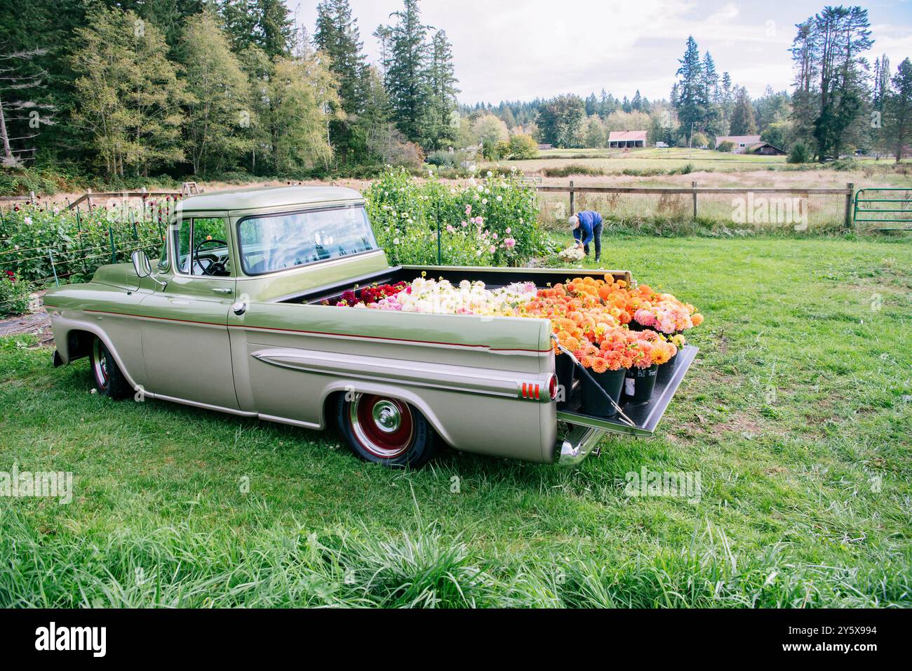 Camionnette vintage chargée de fleurs colorées garées dans un champ rural avec une personne qui s'occupe du jardin en arrière-plan. Banque D'Images