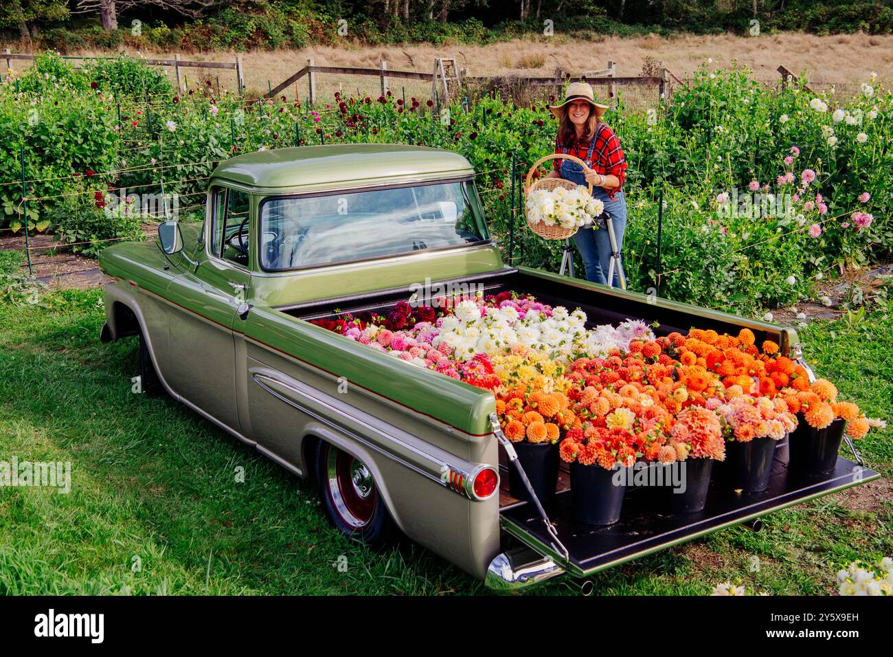 Une personne se tient à côté d'une camionnette vintage chargée de fleurs colorées sur une ferme. Banque D'Images