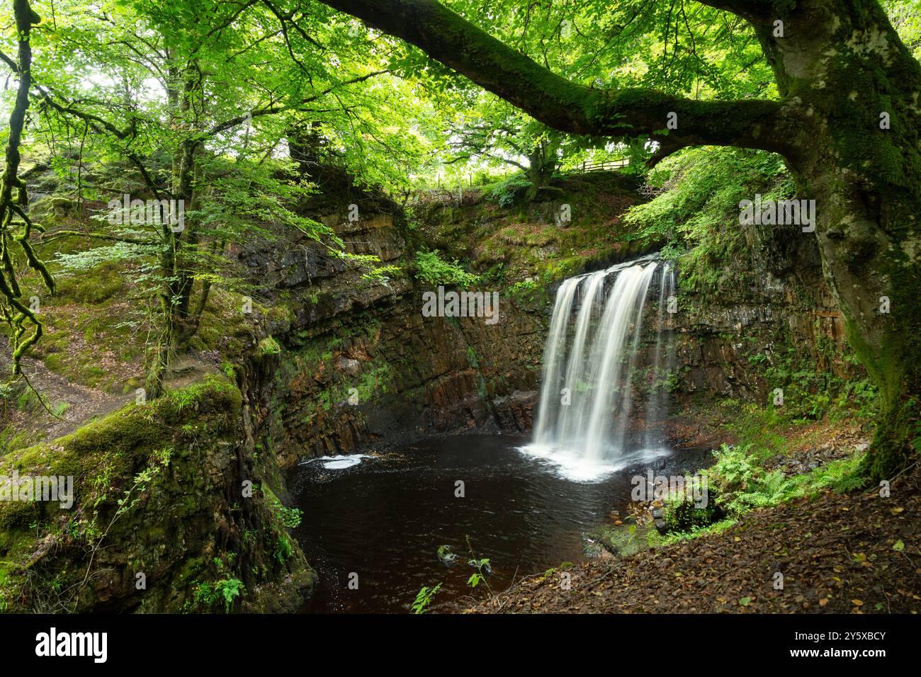 Dalcairney Falls près de Dalmellington, Ayrshire, Écosse Banque D'Images