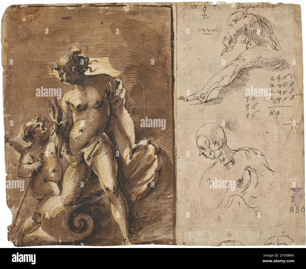 Vicente Salvador Gómez / 'Vénus avec Cupidon et autres études et croquis / quatre études sur les proportions de la tête humaine'. XVII siècle. Lavage jaune, lavage gris-brun, crayon sur papier pondu. Musée : Museo del Prado, Madrid, España. Banque D'Images