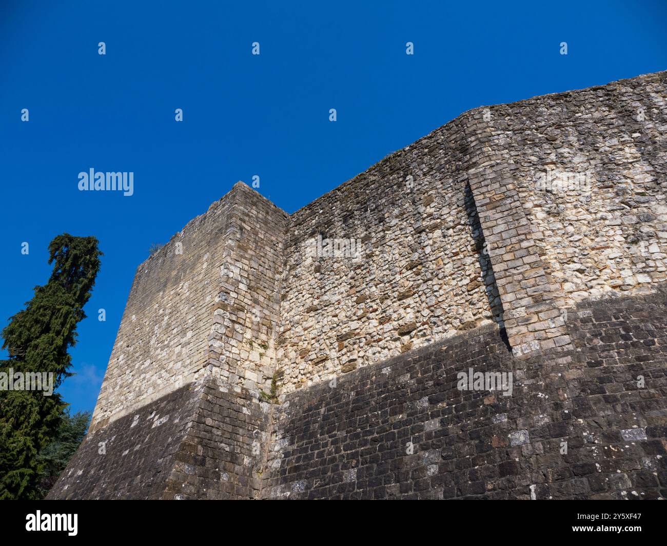 Château de Farnham, donjon du château de Farnham, Farnham, Surrey, Angleterre, UK, GB. Banque D'Images