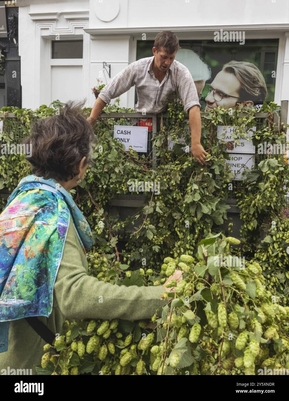 Angleterre, Kent, Faversham, Festival annuel du Hop, Farmer Selling Hop Vines Banque D'Images