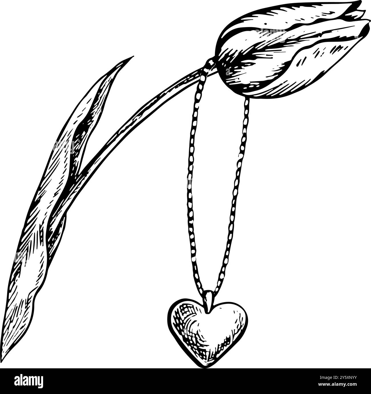 Pendentif en forme de coeur sur une chaîne. Pendentif bijou suspendu à une tulipe. Une illustration graphique vectorielle en noir et blanc réalisée à la main. Isoler sur un Illustration de Vecteur