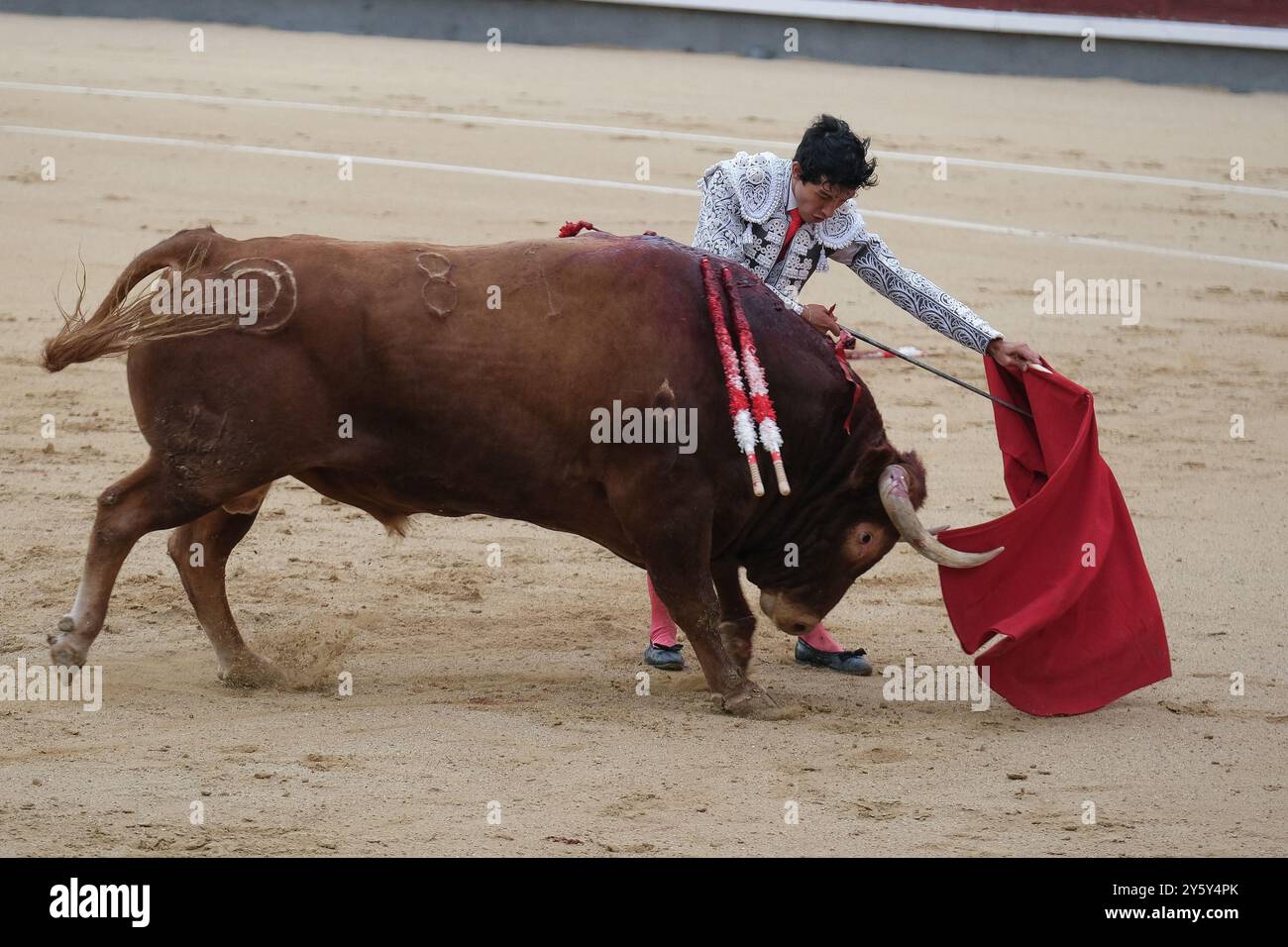 Madrid, Espagne. 23 septembre 2024. Le torero Isaac Fonseca pendant la corrida de Toros sur la Plaza de las Ventas à Madrid, 22 septembre 2024 Espagne crédit : Sipa USA/Alamy Live News Banque D'Images