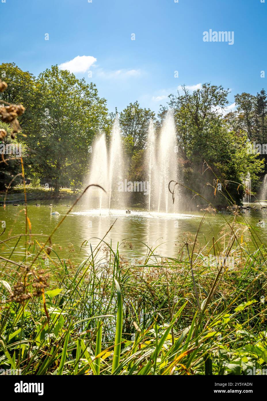 Beau paysage vibrant dans Jephson Gardens, Leamington Spa, Royaume-Uni. Banque D'Images