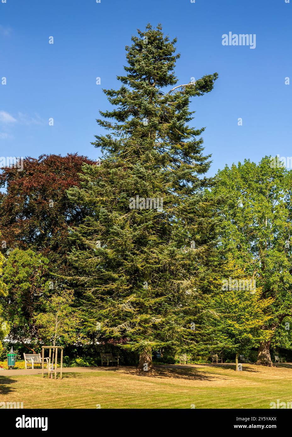 Beau paysage vibrant dans Jephson Gardens, Leamington Spa, Royaume-Uni. Banque D'Images