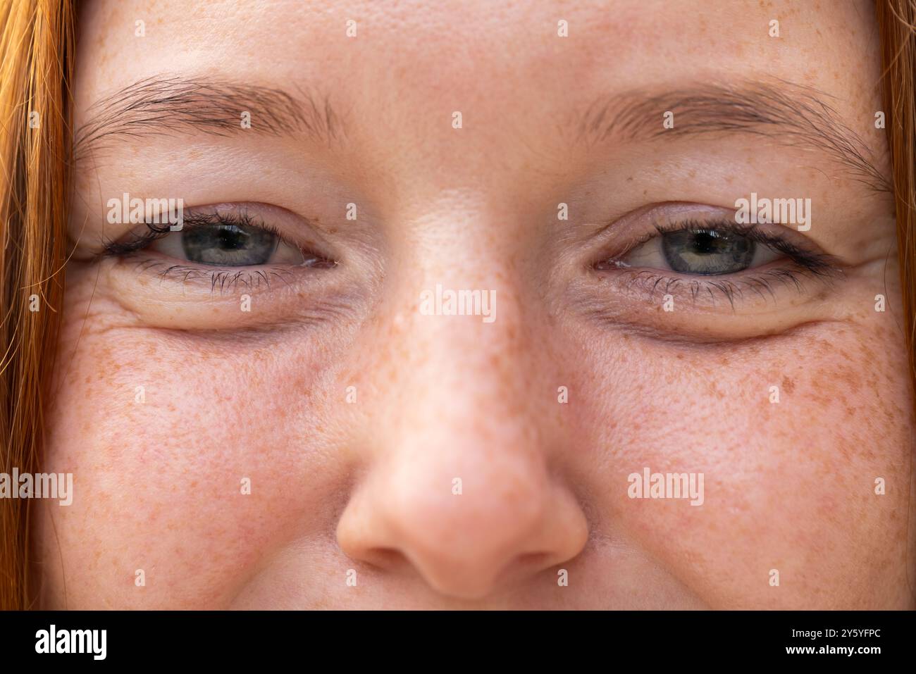 Gros plan des yeux et du nez de la femme, montrant des taches de rousseur naturelles et la texture de la peau Banque D'Images