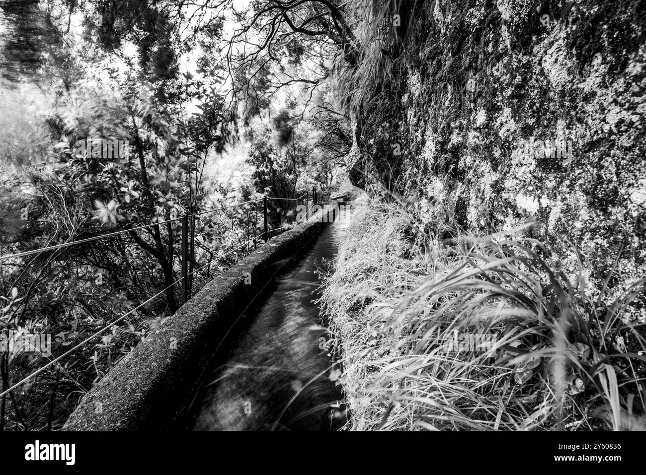 La levada Fontes 25 à Calheta à Rabaçal avec cascade et fontaine et lagune sur l'île de Madère Banque D'Images