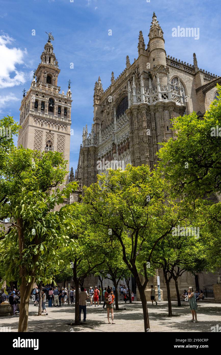 Cathédrale Sainte-Marie-du-Siège, ou cathédrale de Séville, est la plus grande cathédrale gothique du monde et un site classé au patrimoine mondial de l'UNESCO en Espagne Banque D'Images