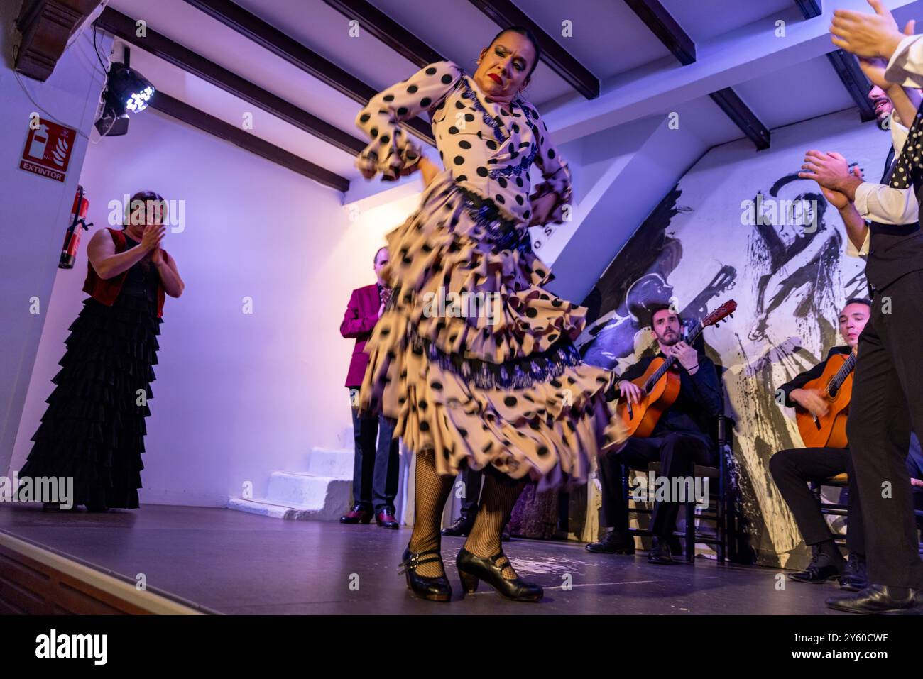 Danseurs, chanteurs et musiciens de flamenco se produisent lors d'un spectacle à Séville, en Espagne. Banque D'Images