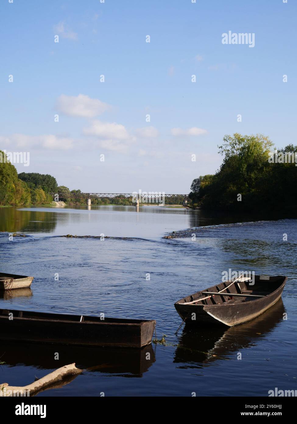 Bateaux traditionnels de Loire à fond plat sur la Vienne. Chinon, France Banque D'Images