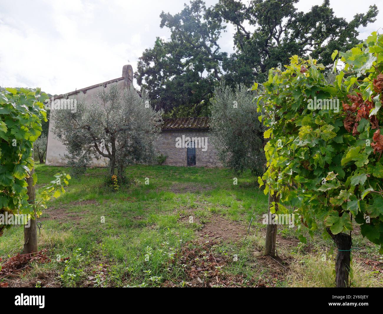 Chiesa di Santa Maria della Valle (église sainte/Sainte marie de la vallée) à Montefiascone, Italie, 22 septembre 2024. Peu avant les dégâts causés par la tempête. Banque D'Images