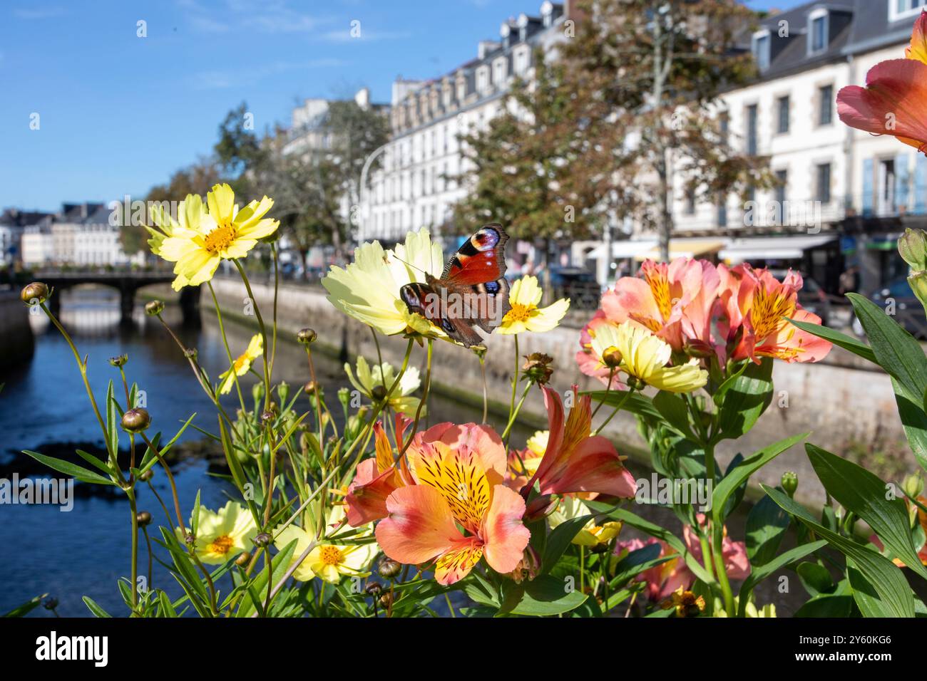 Rivière Odet Quimper Banque D'Images