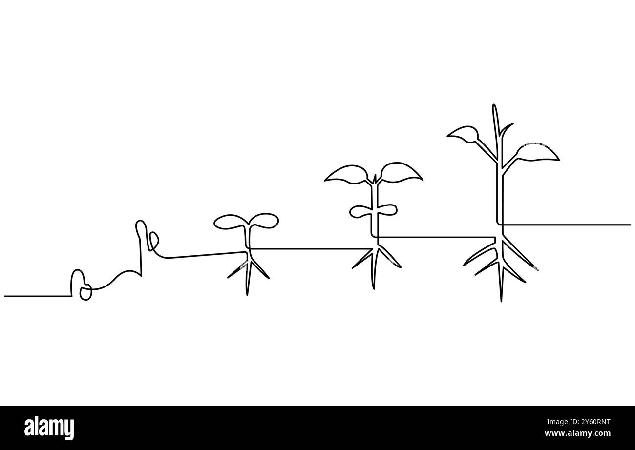 Vecteur de contour d'arbre de croissance de plante d'une ligne continue art Illustration de Vecteur