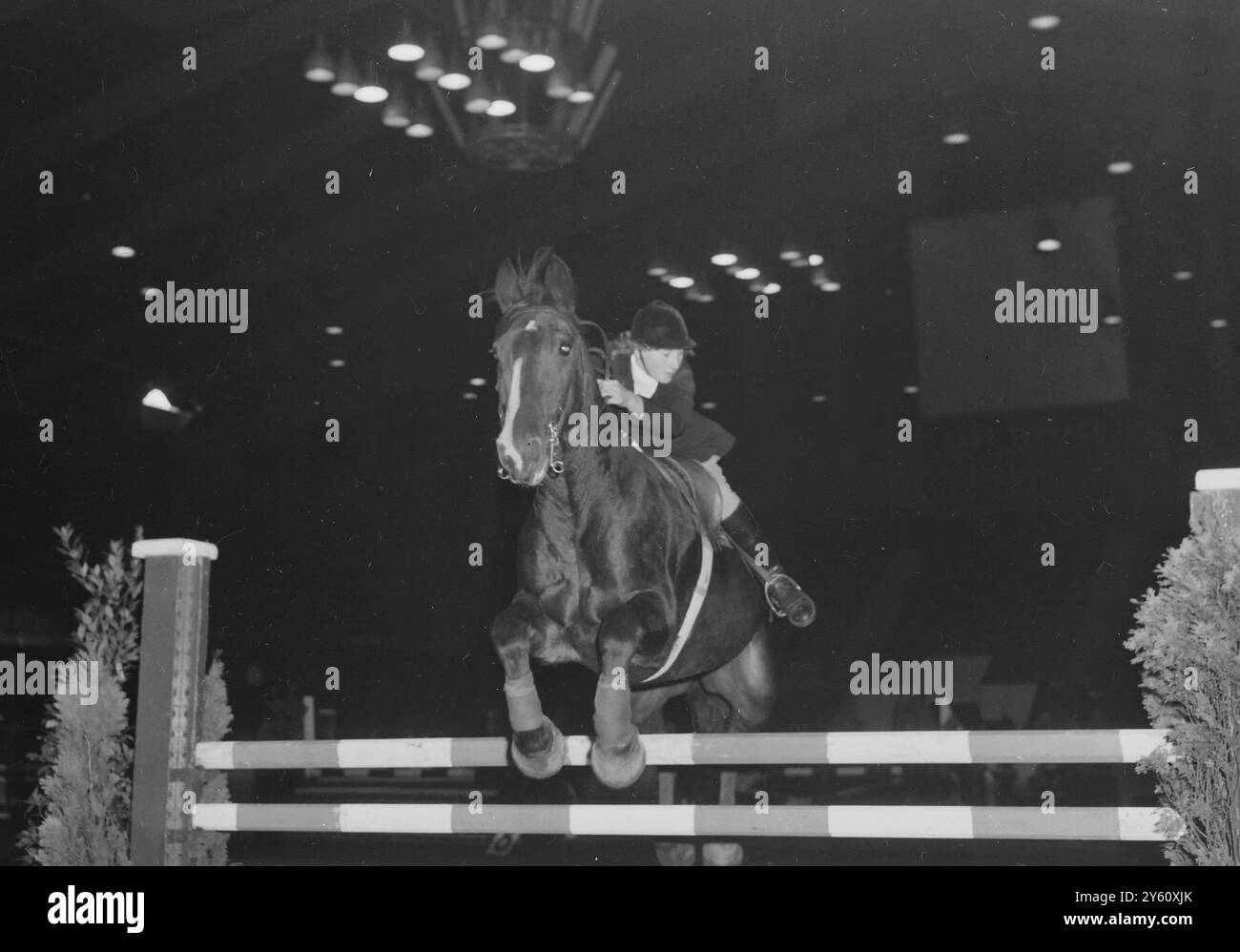 BAMFORD PAT NEWCOMER'S TRIAL STAKES / 4 OCTOBRE 1960 Banque D'Images