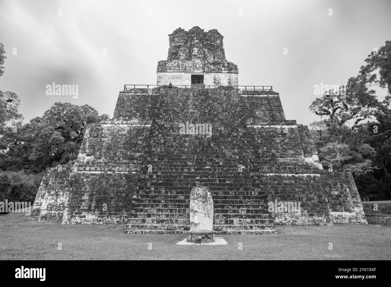 Photographie en noir et blanc du Temple II à Tikal, Guatemala, mettant en valeur l'architecture maya antique sur fond d'arbres. Banque D'Images