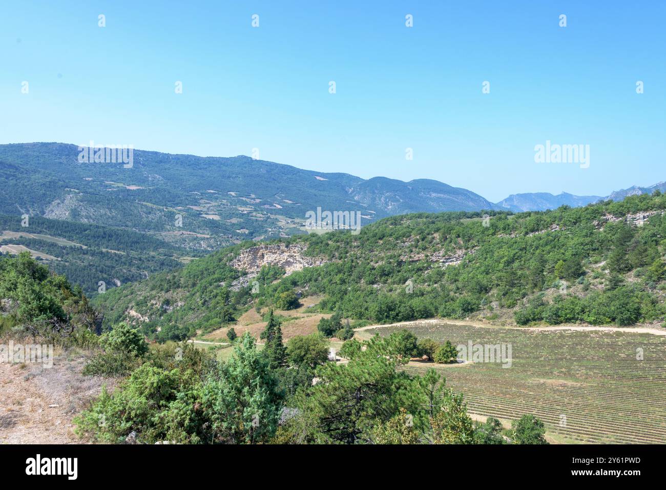 Drone photo des collines vallonnées dans la Drôme, Sud-est de la France. Banque D'Images