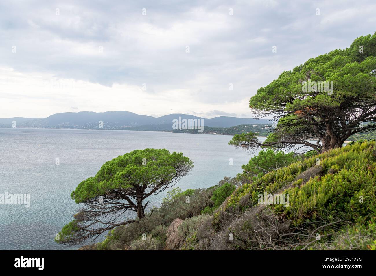 La côte rocheuse près de la plage de Gigaro, la Croix-Valmer, Sud de la France. Banque D'Images