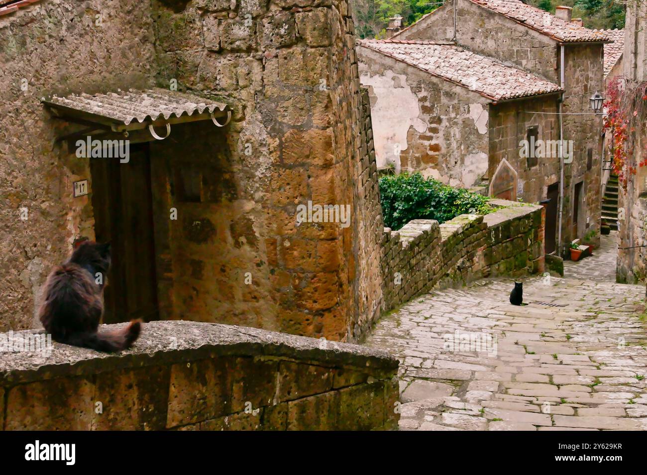 Le village médiéval de Sorano, dans la Grosseto Maremme, il est situé sur un éperon de roche tuffacée, l'un des plus beaux villages italiens Banque D'Images