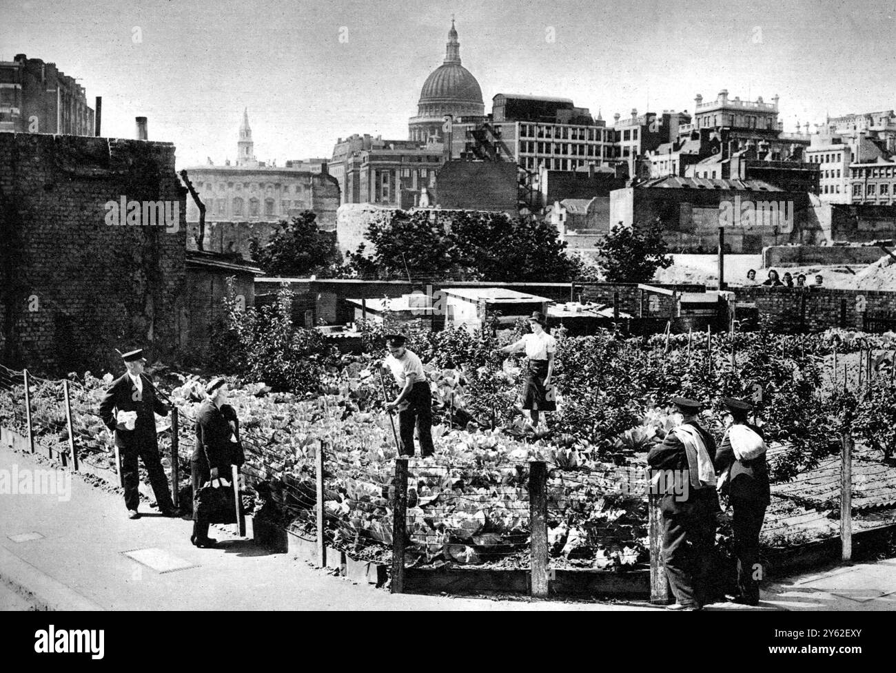 La ferme des pompiers au cœur de la City de Londres. Une vue générale de la ferme de pompiers City avec deux membres de la NFS travaillant dans la parcelle de légumes parmi une fine culture mixte. Banque D'Images