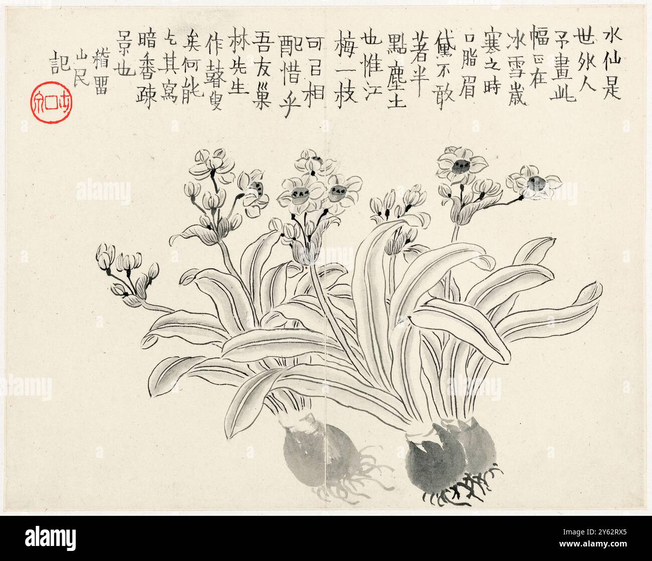 Narcisse du peintre et calligraphe chinois Jin Nong (金農) (1687-1763) créé en 1754. Dynastie Qing, encre sur papier, une des 12 peintures diverses. Photographie tirée d'un rouleau original de la dynastie Qing. Banque D'Images Narcisse du peintre et calligraphe chinois Jin Nong (金農) (1687-1763) créé en 1754. Dynastie Qing, encre sur papier, une des 12 peintures diverses. Photographie tirée d'un rouleau original de la dynastie Qing. Banque D'Images