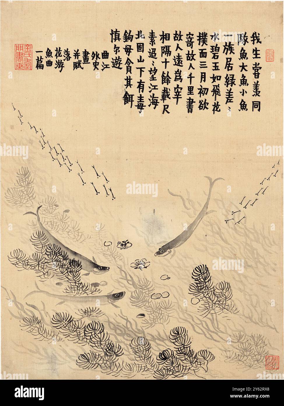 Poissons nageant parmi les plantes aquatiques par le peintre et calligraphe chinois Jin Nong (金农) (1687-1763). Cette œuvre d’encre sur papier fait partie d’une collection de 8 études mêlant poésie, peinture et calligraphie mettant en valeur la maîtrise des « trois perfections » par Jin Nong. Banque D'Images Poissons nageant parmi les plantes aquatiques par le peintre et calligraphe chinois Jin Nong (金农) (1687-1763). Cette œuvre d’encre sur papier fait partie d’une collection de 8 études mêlant poésie, peinture et calligraphie mettant en valeur la maîtrise des « trois perfections » par Jin Nong. Banque D'Images