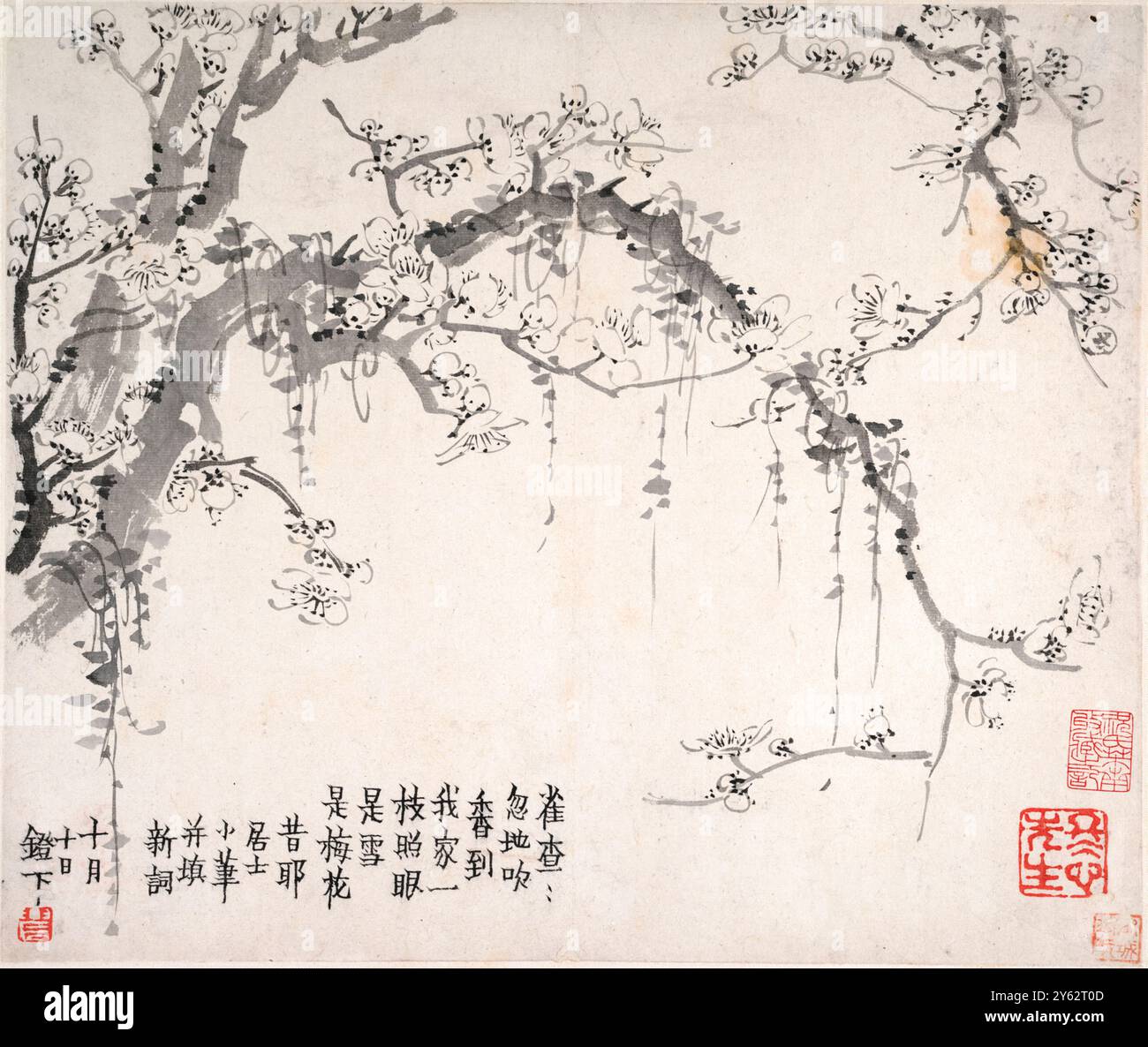 Fleurs de prunes du peintre et calligraphe chinois Jin Nong (金農) (1687-1763) L'une des séries de peintures créées en 1757 lors d'un séjour de six semaines dans la maison de son collègue peintre Luo Ping à Yangzhou. Cette série monochrome illustre l’approche innovante de Jin Nong, qui équilibre la représentation et l’abstraction. Banque D'Images Fleurs de prunes du peintre et calligraphe chinois Jin Nong (金農) (1687-1763) L'une des séries de peintures créées en 1757 lors d'un séjour de six semaines dans la maison de son collègue peintre Luo Ping à Yangzhou. Cette série monochrome illustre l’approche innovante de Jin Nong, qui équilibre la représentation et l’abstraction. Banque D'Images