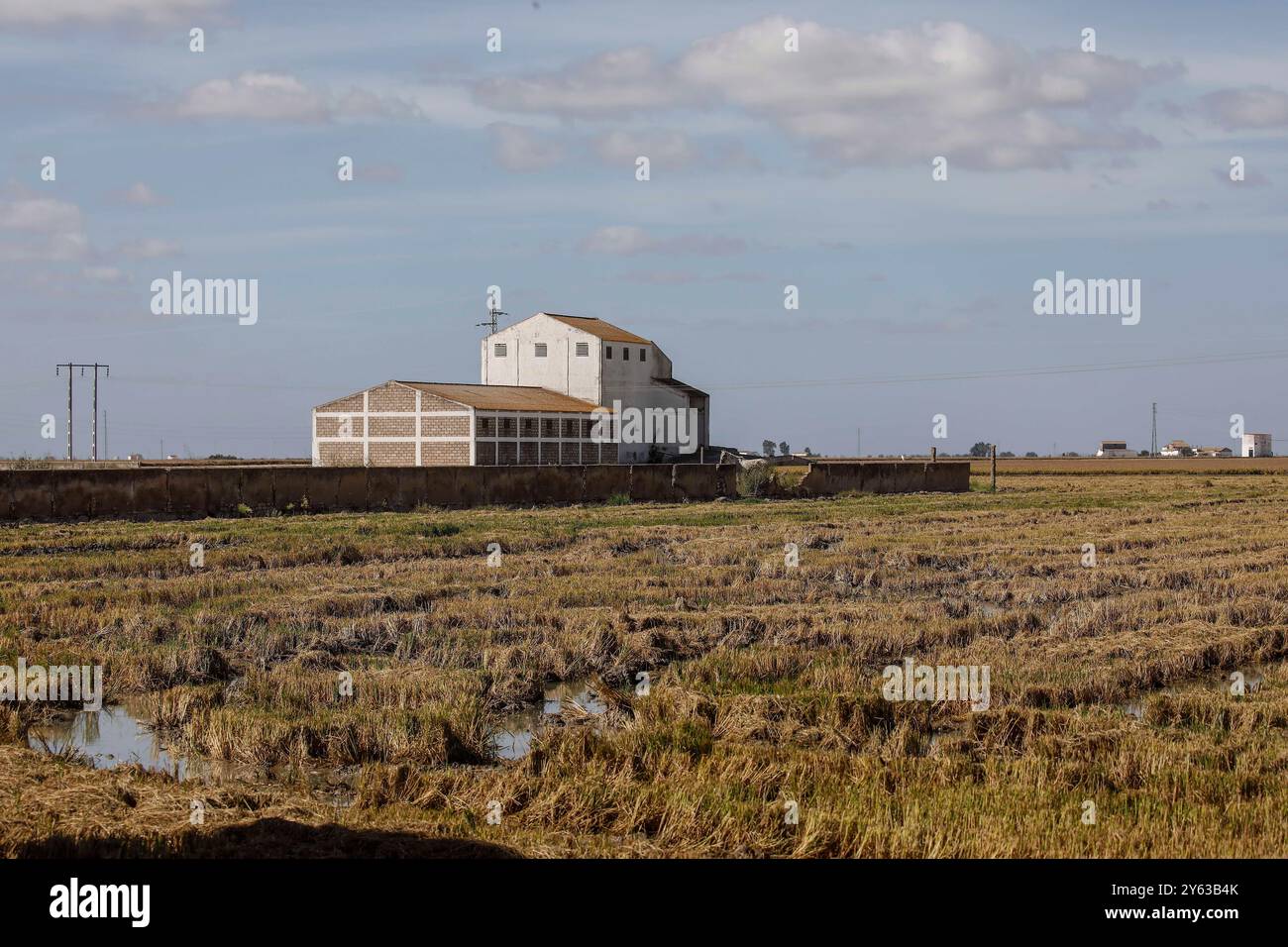 Séville, 14/10/2018. Galerie de photos des rizières de la région d'Isla Mayor et de la colonie Alfonso XIII. Photo : Raúl Doblado. Archsev. Crédit : album / Archivo ABC / Raúl Doblado Banque D'Images