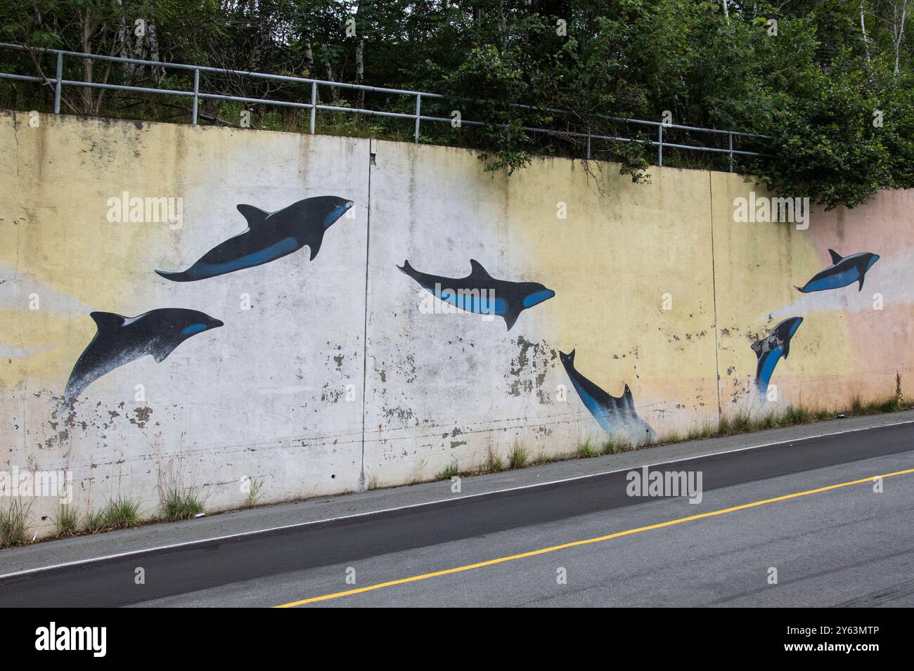 Histoire murale des dauphins nageant sur Blackhead Road à nouveau John's, Terre-Neuve-et-Labrador, Canada Banque D'Images