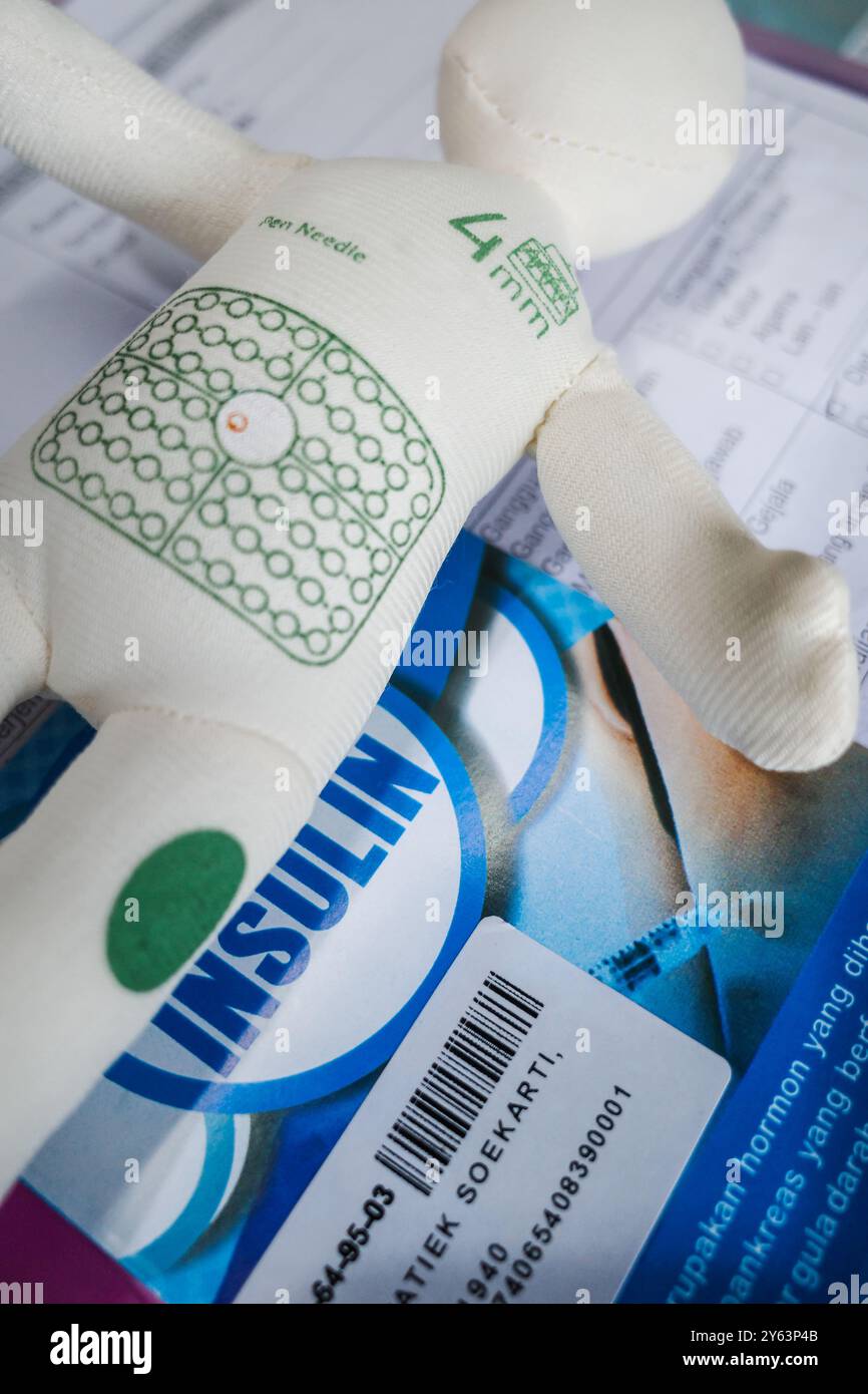 Livret d'injection d'insuline et poupée d'aide visuelle Banque D'Images